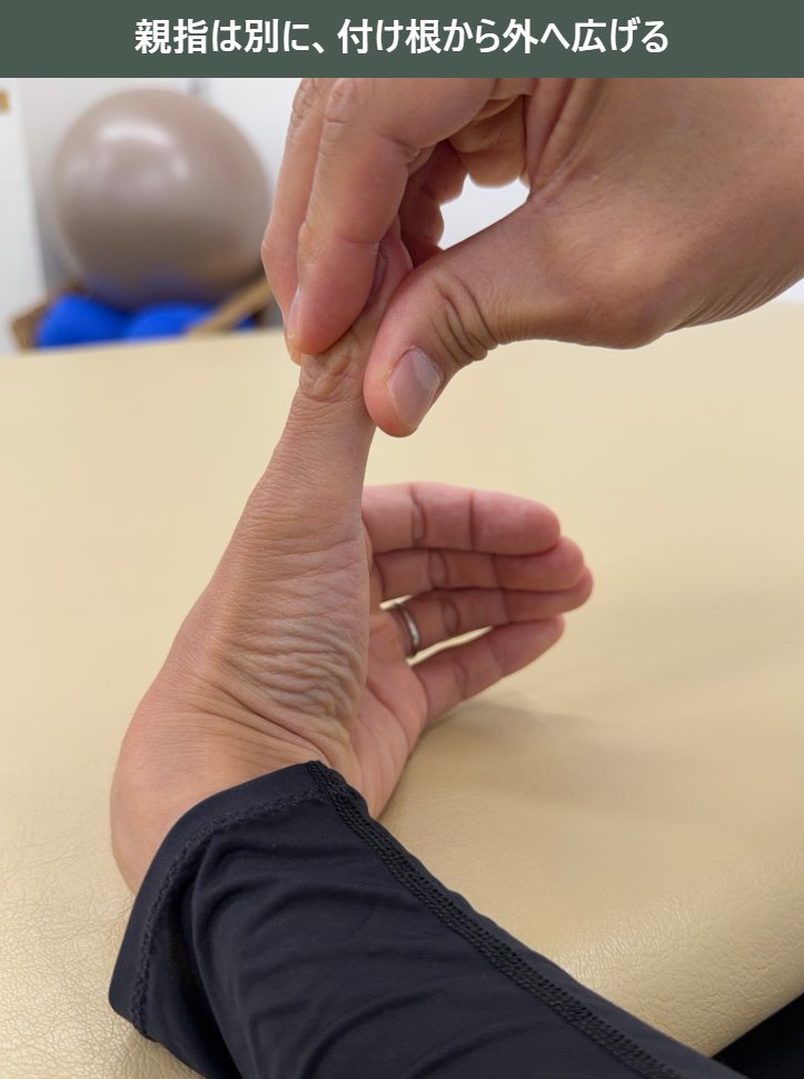 親指は別に、付け根から外へ広げる